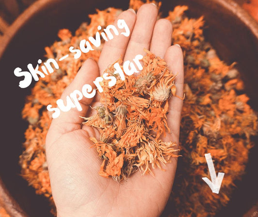 Calendula: The Humble Flower Doing Proper Work for Your Skin - Usk Valley Herbs