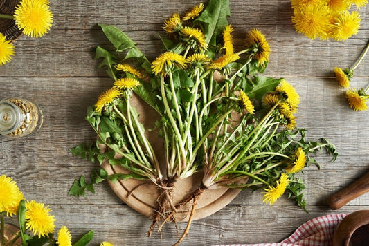 Why we use Dandelion Root in our 'Patchouli Spice' Soap - and why your skin might thank you - Usk Valley Herbs
