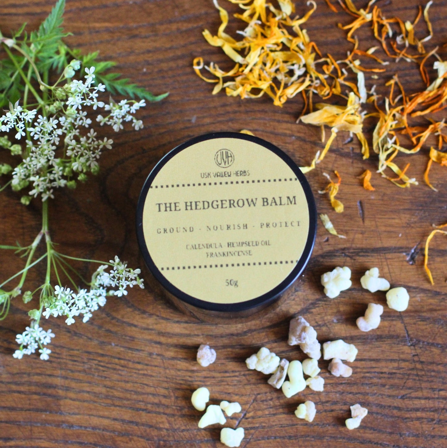 The Hedgerow Balm - 50g - Usk Valley Herbs