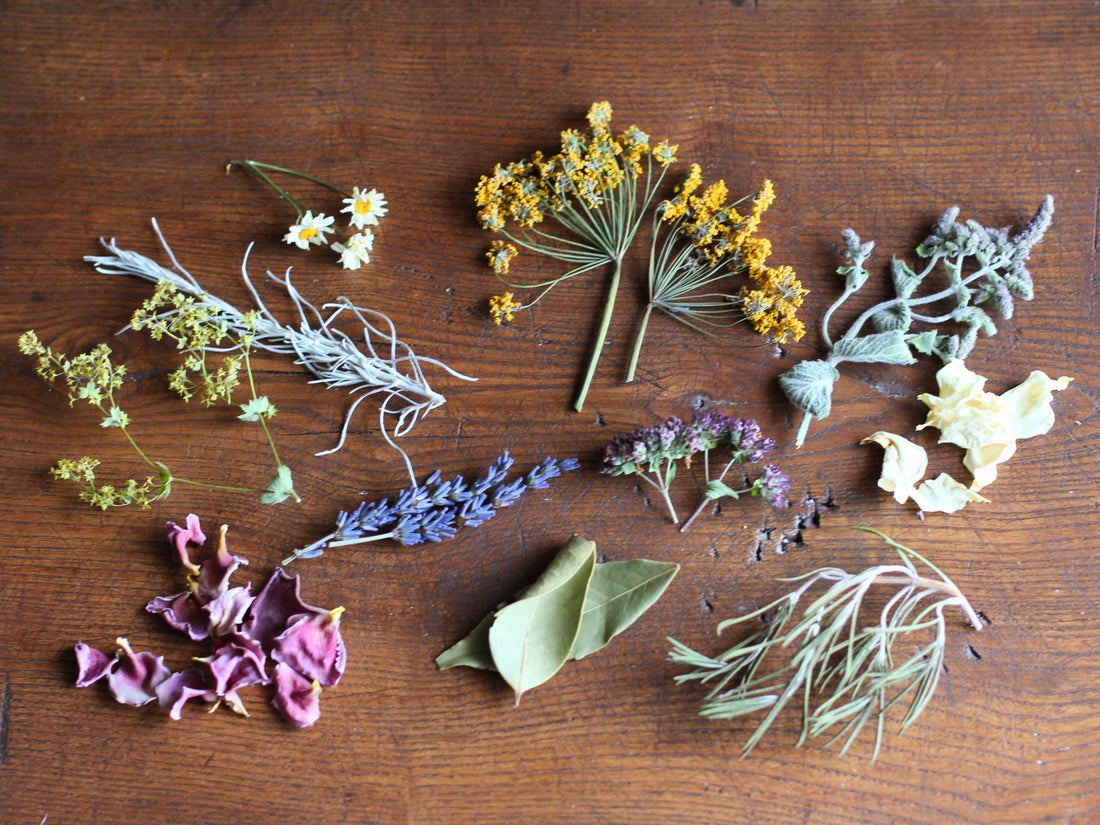 How to dry herbs for Autumn Displays