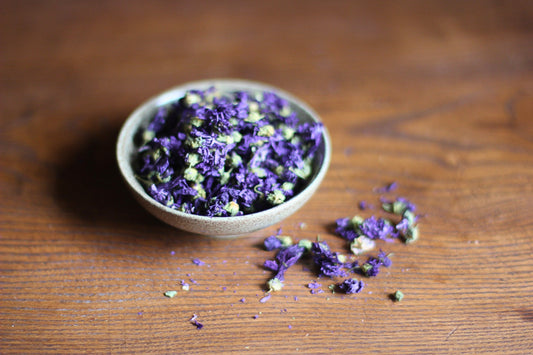 What is Marshmallow — and why does it belong in your skincare? - Usk Valley Herbs