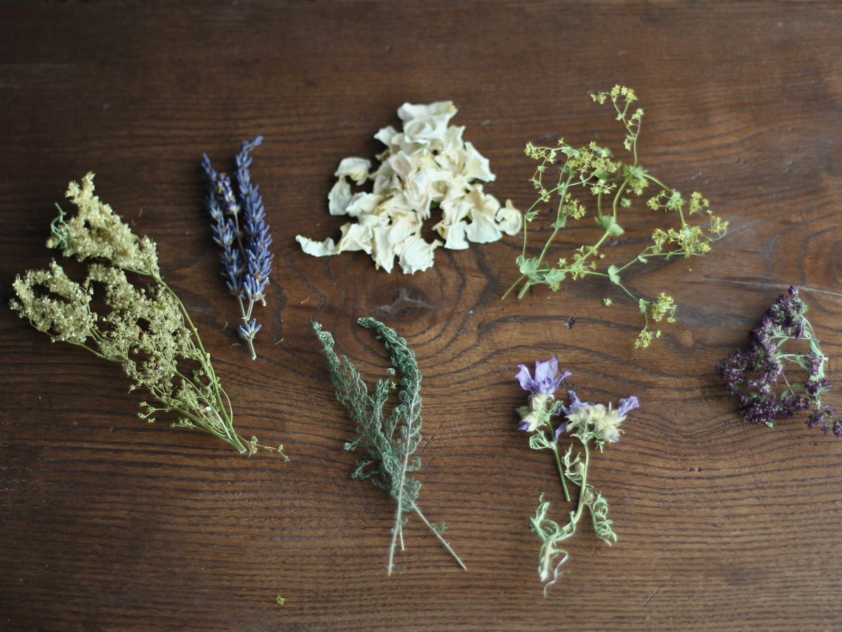 01. Wild Meadow - Usk Valley Herbs