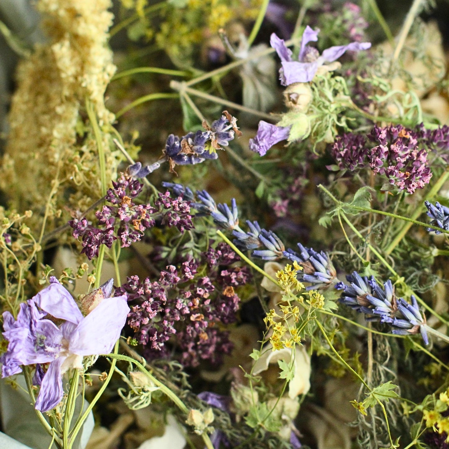 01. Wild Meadow - Usk Valley Herbs