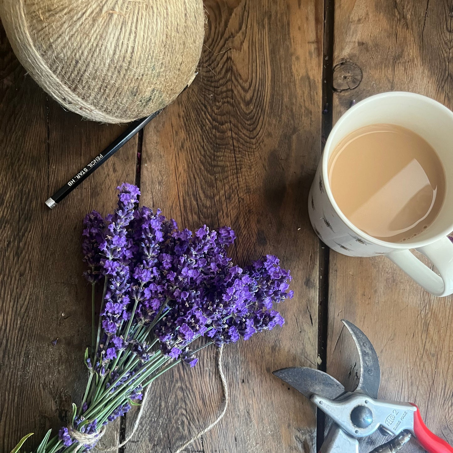 The Lavender Balm - 50g