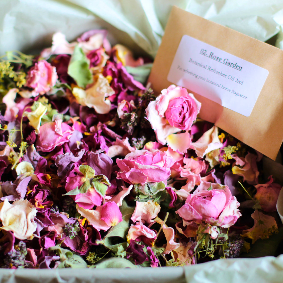02. Rose Garden