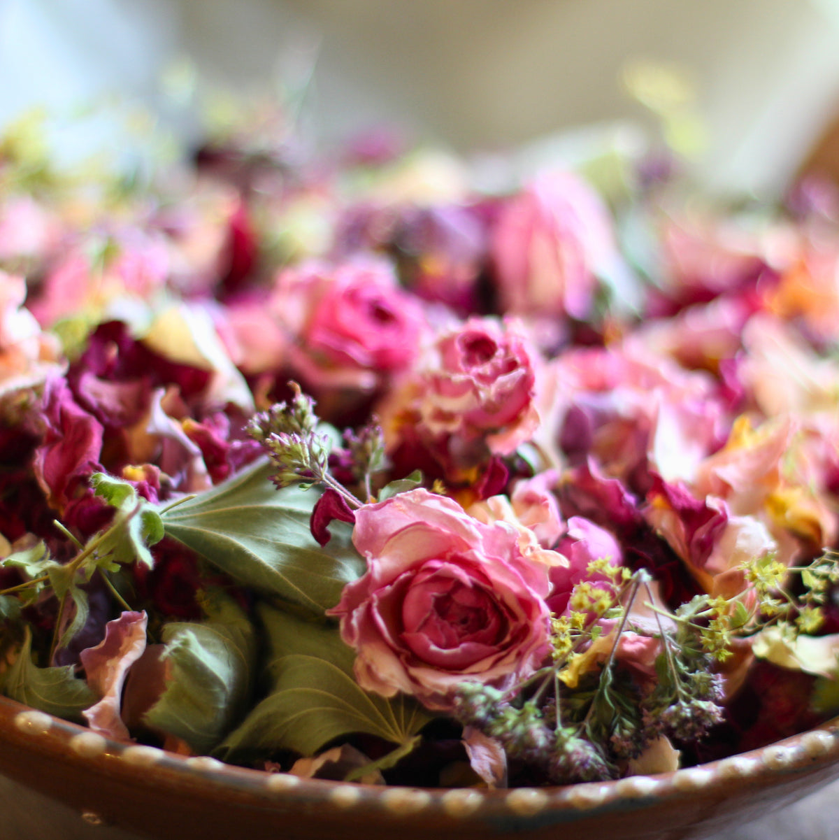02. Rose Garden