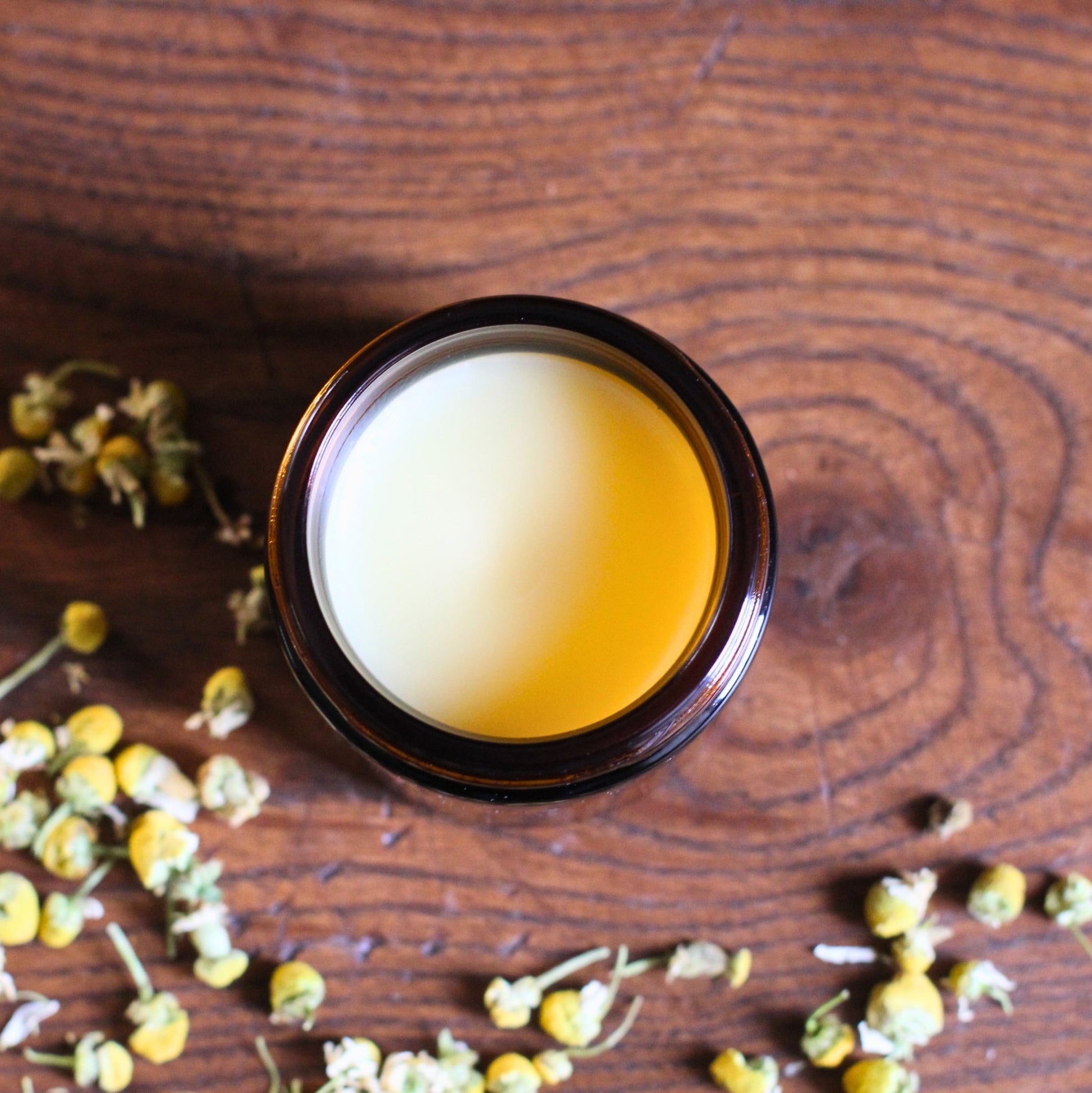 The Gentle Balm - 50g - Usk Valley Herbs