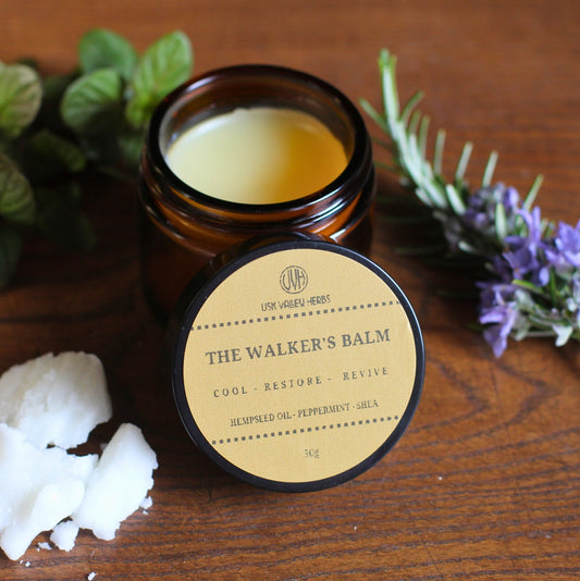 The Walker's Balm - 50g - Usk Valley Herbs
