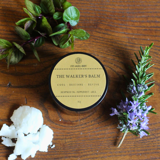 The Walker's Balm - 50g - Usk Valley Herbs